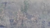 15211482077560.mp4