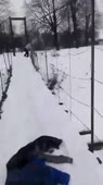 15502130590120.mp4