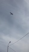 15507093173432.mp4