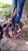 15513984053411.mp4