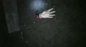 15521655135461.webm