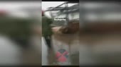15563944555831.mp4