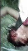 15629016717920.mp4