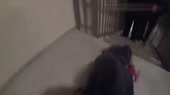 15705397279120.mp4
