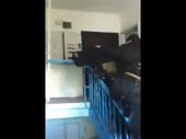 15705515264670.mp4