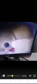 15705523845340.mp4
