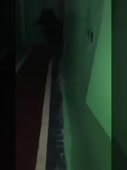 15705533698970.webm