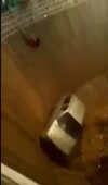 15715917535211.mp4