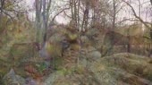faketrailers kutikula.mp4