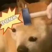 images (2).jpeg