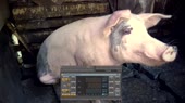 1613850377412.mp4