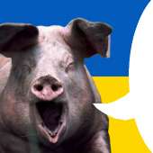Ukraine.png