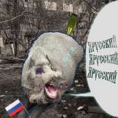 изображение.png