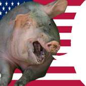 USA.png