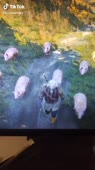 16154653766670.mp4