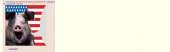 Screenshot2021-03-11  b - pigs - Random - 4chan.png