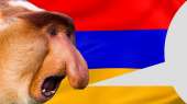 Armenian Monkey Says #2.jpg