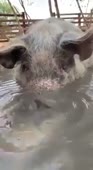 16152356215180.mp4