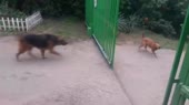 16140925184000.webm
