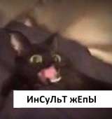 FPvkeY6uw0.jpg