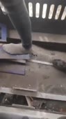 1.mp4