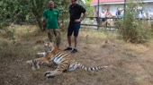 Мнение эксперта.webm