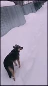 очк.mp4