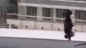 машинка танцует под музыку японских кейпопов ибо хули ей ещ[...].webm