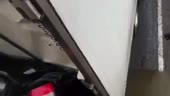 1464711689704.mp4