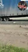 1607446749446.mp4