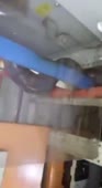Змея.mp4