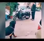 16125492794870.mp4