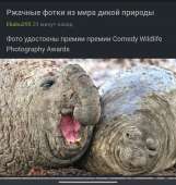 1617860841553.jpg
