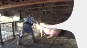 16175644451290 (1).webm