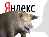 Яндекс свин.jpg