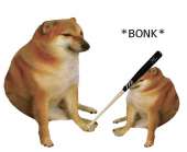 bonk-mem-bonk-8.jpg