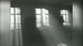 16198055312881.mp4