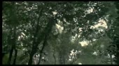 Апокалипто 2.webm