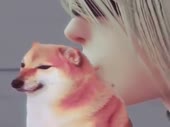 cheems.webm