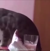 йогурт.mp4