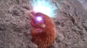 16026251713671.webm