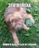 это я.jpg