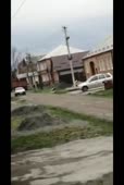 опарыши.mp4