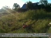 ААЫЙ.webm