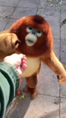 16185100551670.webm