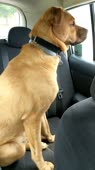 video2021-05-0423-48-19.mp4