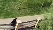 e56thxfghdr6y567.mp4