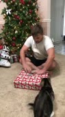 16210856075930.webm