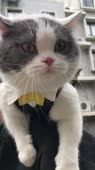 15714625164540.webm