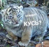 изображение.png